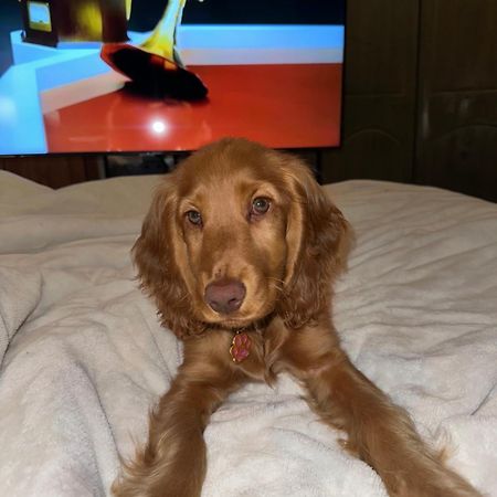 Cosy City Centre Guest Room Shared Home ゴールウェイ エクステリア 写真