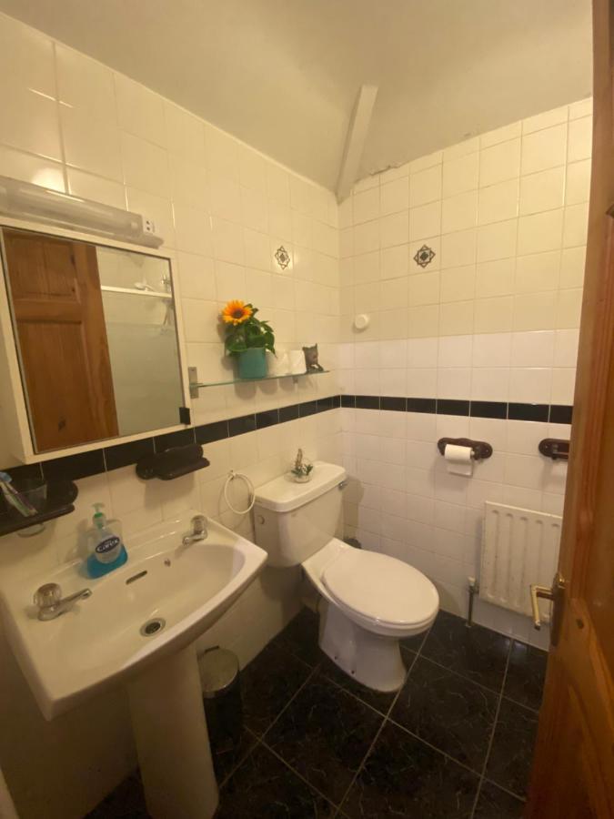 Cosy City Centre Guest Room Shared Home ゴールウェイ エクステリア 写真